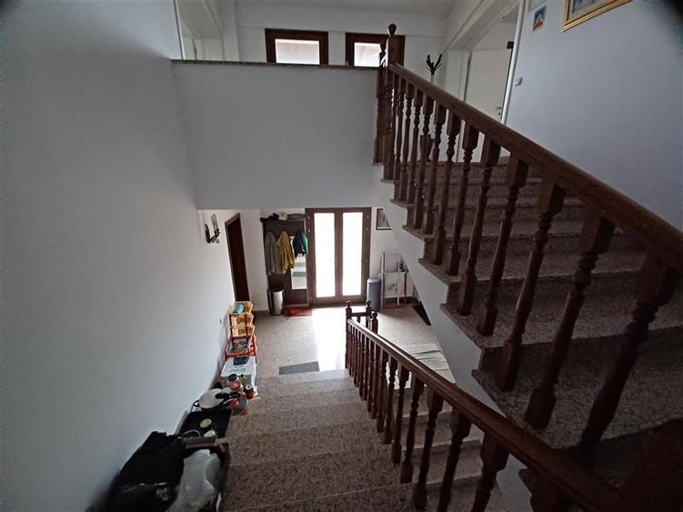 Otopeni- Therme Afacere La Cheie Cu Showroom - 5