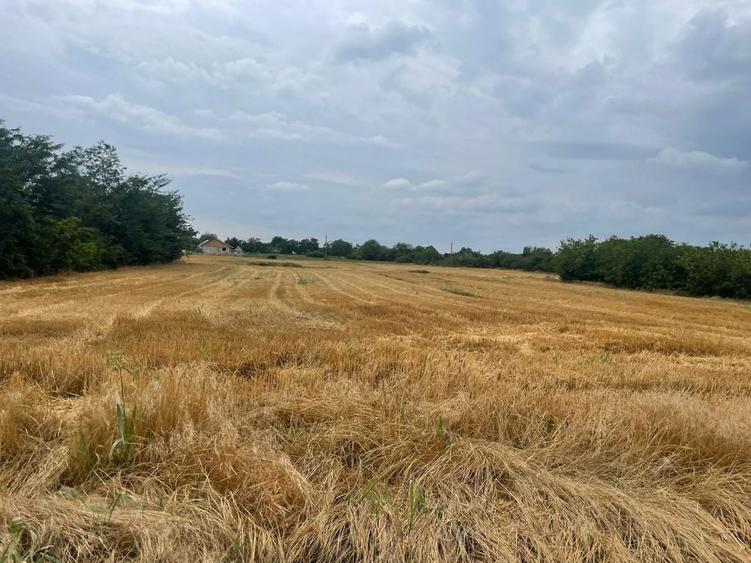 NOU! TEREN INTRAVILAN | LA LIMITA CU SEC 4 | OPORTUNITATI | JILAVA - 3