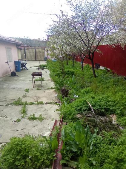 casa de vanzare - 2