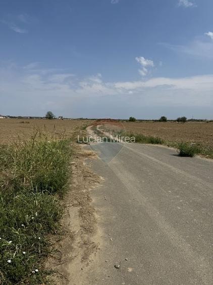 Teren intravilan de vanzare 1000 mp ,Ciorogarla.Ilfov