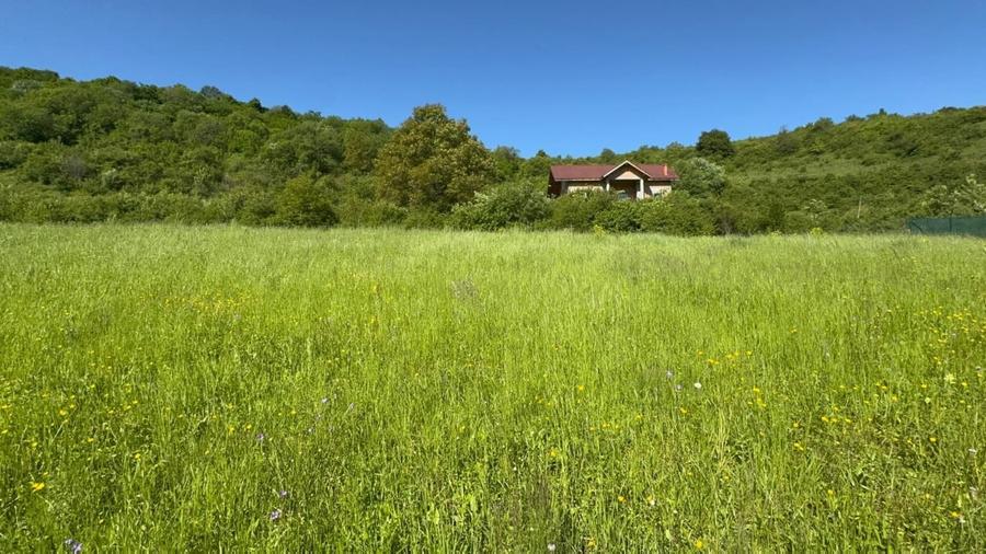 Teren de vanzare, Tauti, 2300 Mp - 1