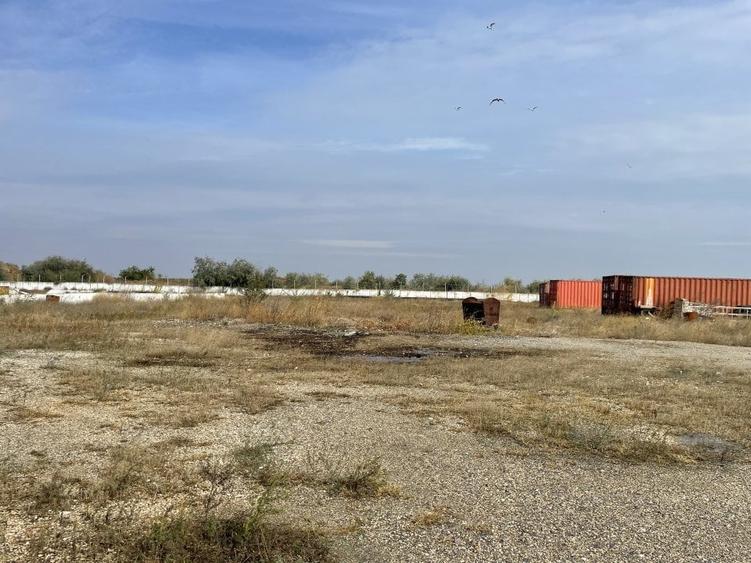 Ovidiu 6 ha teren intravilan construibil îngrădit și platforma betonata. - 6