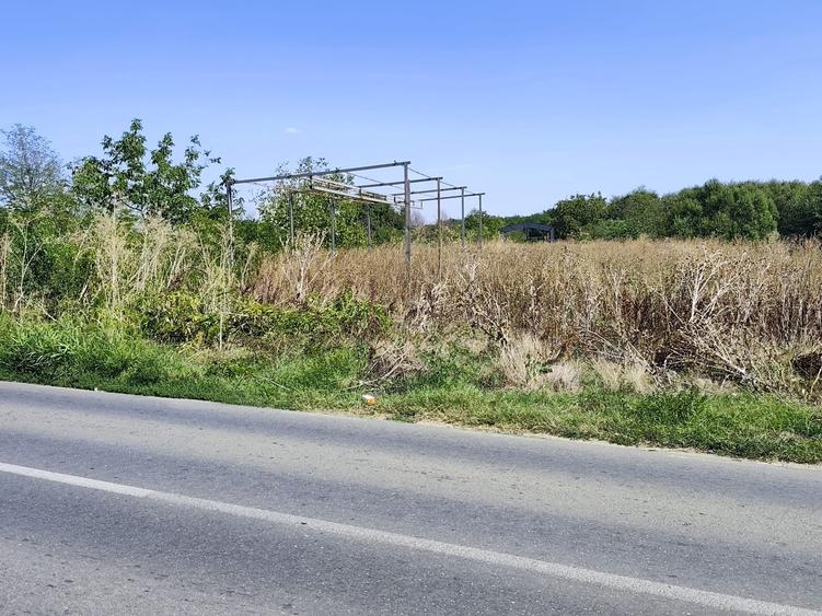 FARA COMISIOANE teren intravilan curs constructii la drum asfaltat 2562mp - 3