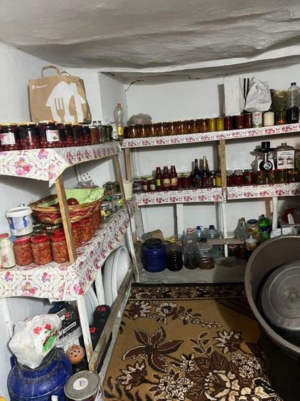Casă individuală cu 4 camere cu Teren 3000 Mp în Bogdănești