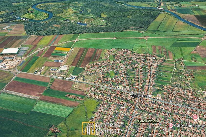 Teren pentru investiție în Vladimirescu, Arad – 20.000 mp - 3