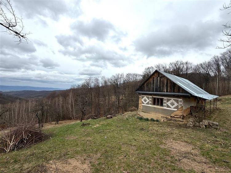 TEREN 34.000 MP | SERANI BIHOR - 1