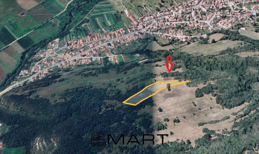 Teren extravilan 5500 mp, la padure zona Selimbar (Mohu) - 2