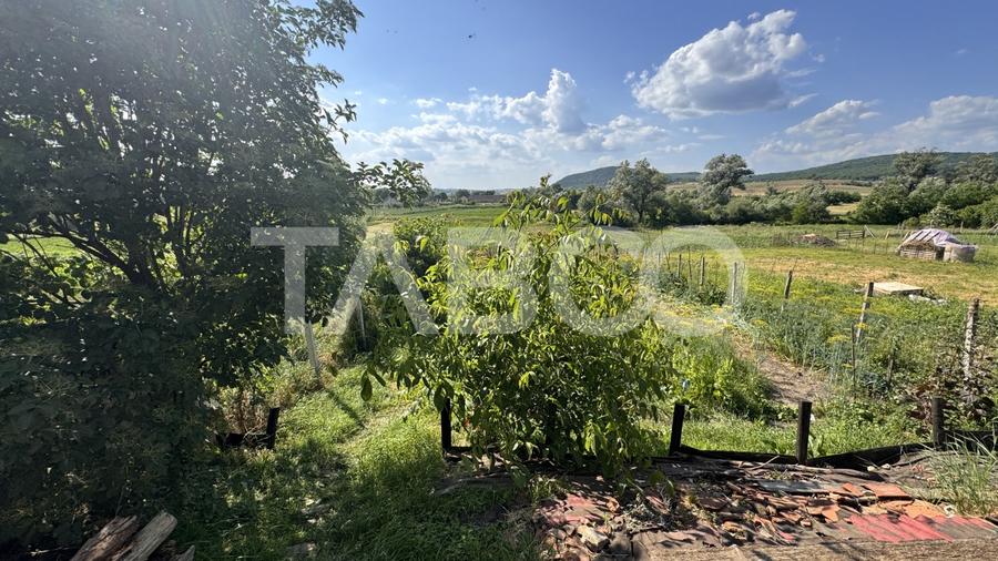 Casa de vanzare cu curte spatioasa loc relaxare si gradina Cornatel - 12