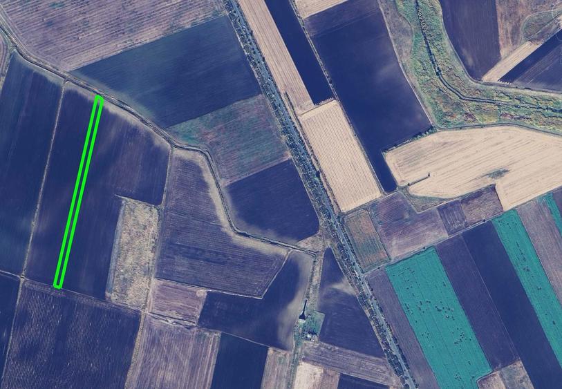 Vand teren agricol in Becicherecu Mic - 2