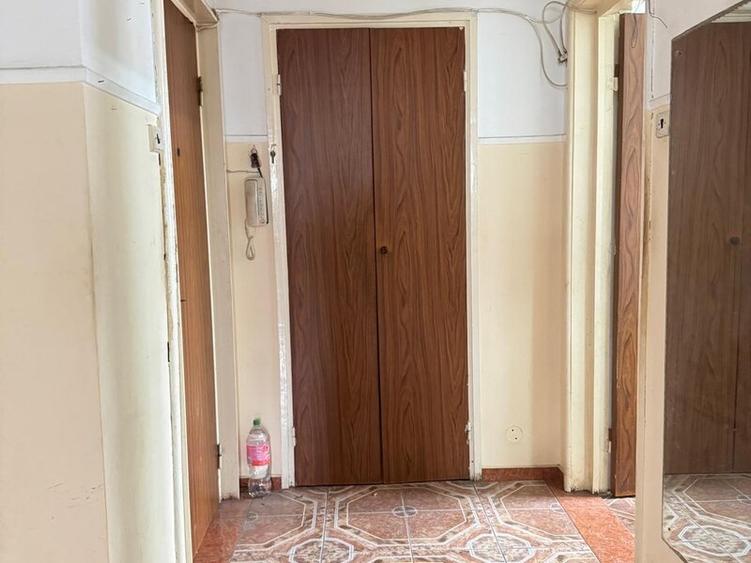 Camil Ressu, Lotrioara, 5 minute parc IOR si metrou Nicolae Grigorescu - 9