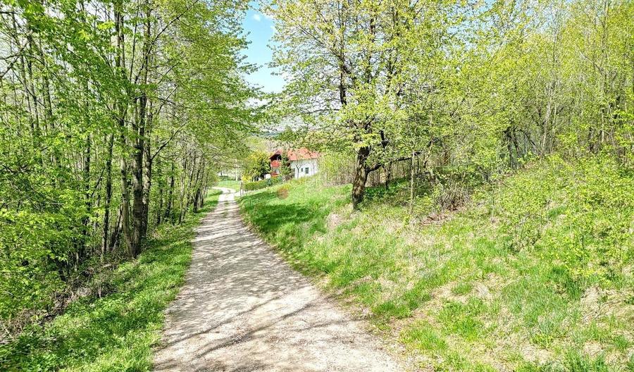 Teren intravilan Bran- Predelut - 6