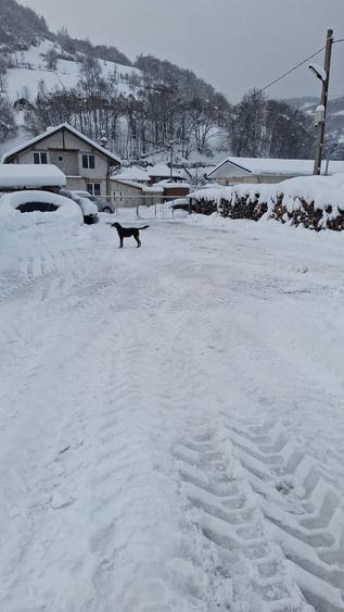 Teren cu hala de vanzare - 4