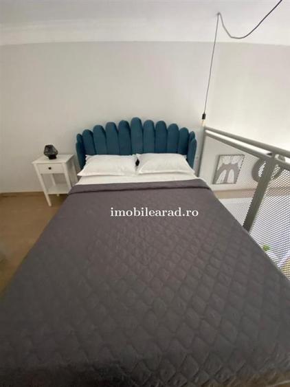 Apartament 60 Euro pe zi, amenajat in stil unic langa Primaria Arad - 8