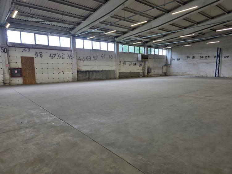 Hala Bartolomeu Brintex - 2