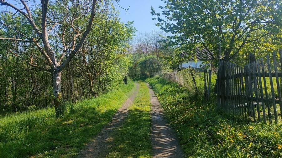 Teren de vis în Stejeriș – utilități, natură, acces rapid! - 5