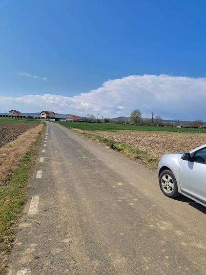 Vand teren Bacia pentru casa, sist. fotovoltaic, parcelare,pensiune, - 3