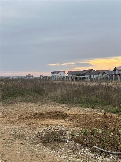 TEREN CIHEI PROGRESULUI - 3