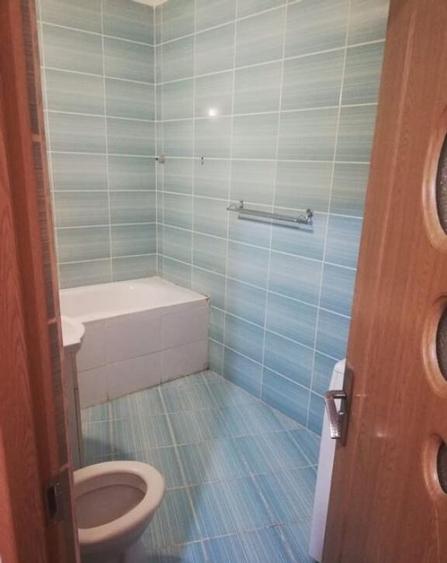 Garsoniera Aradului - 2