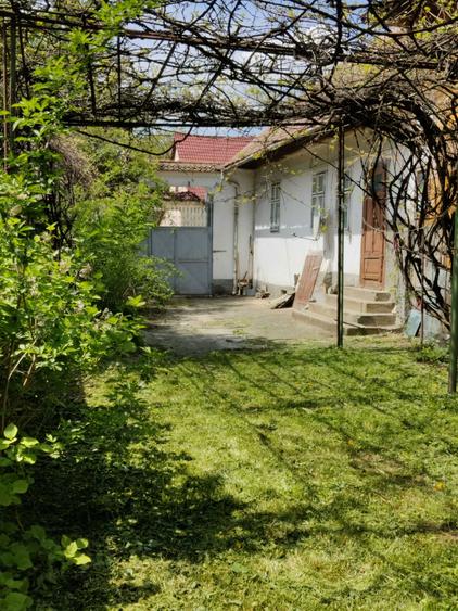 Casa saseasca autentica in Vulcan, Brasov- 500 mp teren, anexa mare, potential investitie - 3