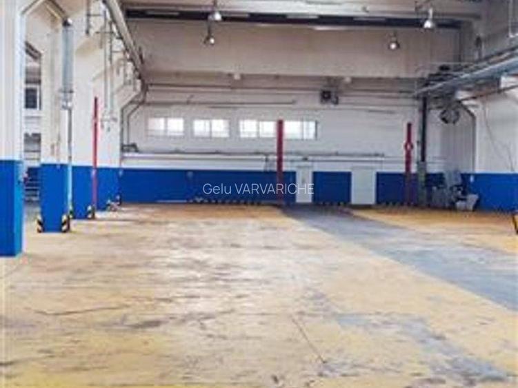 Hale in parcul Roman sau tractorul