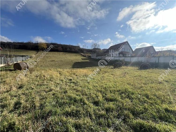 Teren intravilan de 3220 mp cu PUZ aprobat si utilitati in Sura Mare - 5