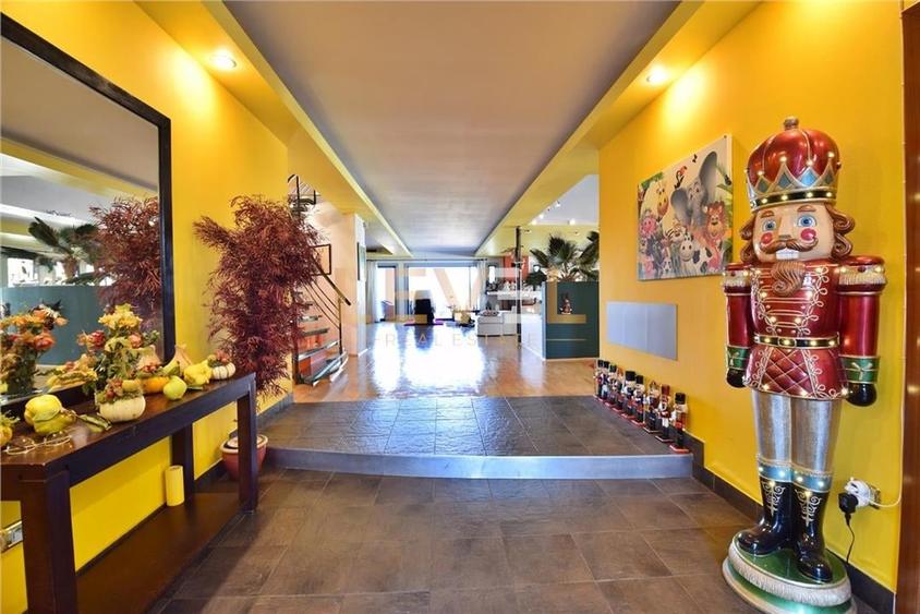 [VIDEO] VILA CU PONTON SI TEREN 11.000MP LAC SNAGOV DE VANZARE - 26