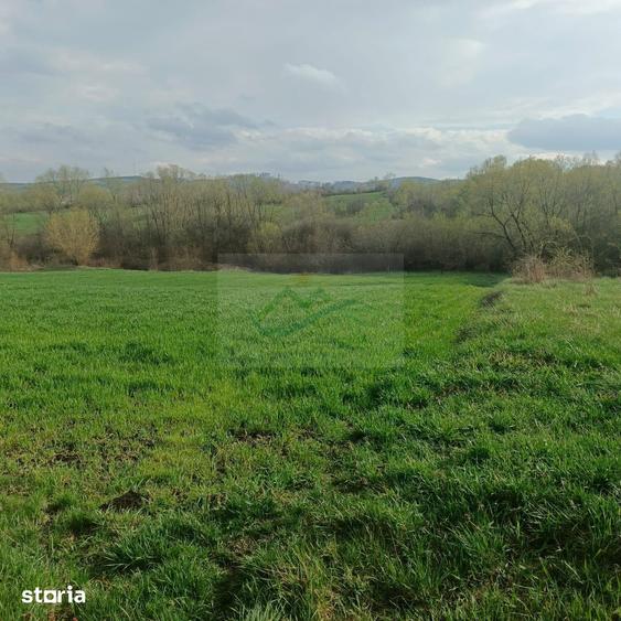 Teren de 3200 mp, în Bosanci
