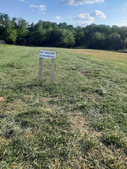 Spațiu comercial, în Central