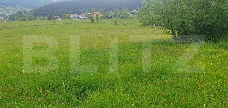 Teren Construcții intravilan de 9964 mp, în Vatra Dornei