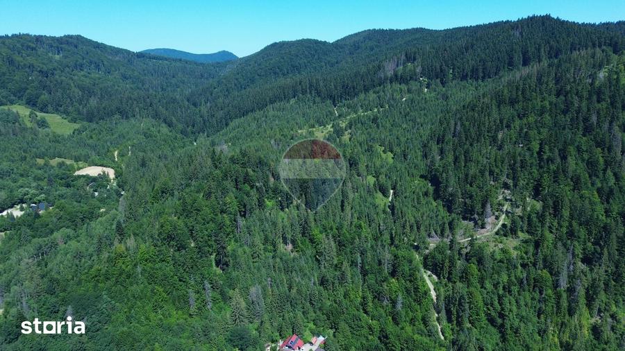 Teren de 120000 mp, în Sucevița