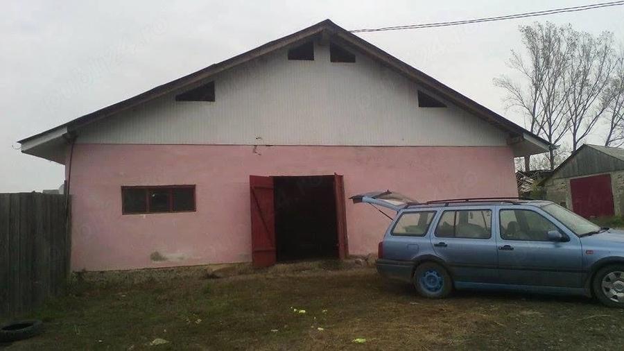 Spațiu comercial, de 18,000 mp, în Viișoara