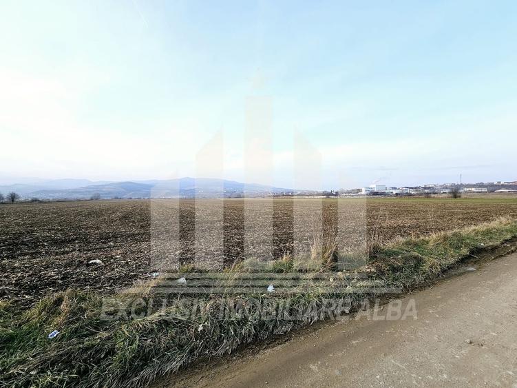 Teren intravilan | De vanzare | 780 mp | 30 ml deschidere | Partos - 2