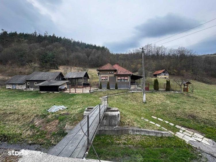 Casa de vanzare+teren intravilan+teren extravilan - 1