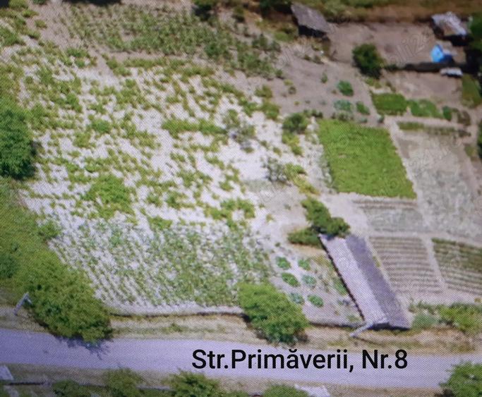 Teren Delta Dunarii - 2