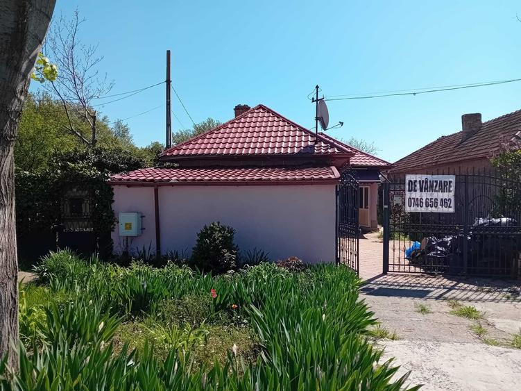VAND CASA, Murfatlar - 16