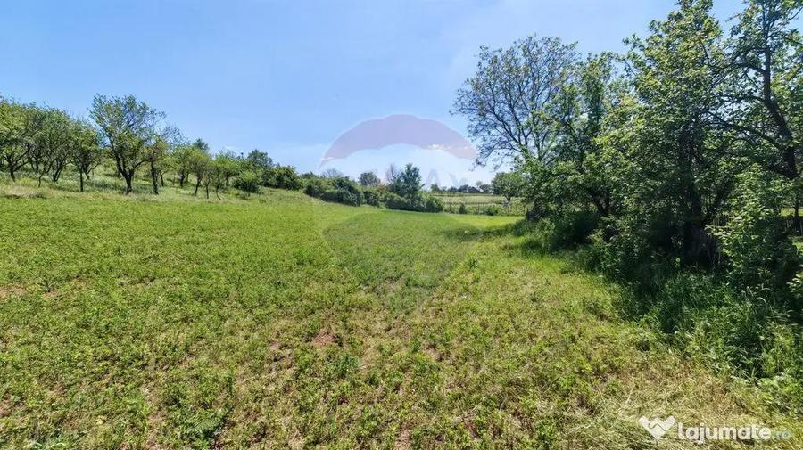Tere cu constructie de vanzare in Urlati - 8