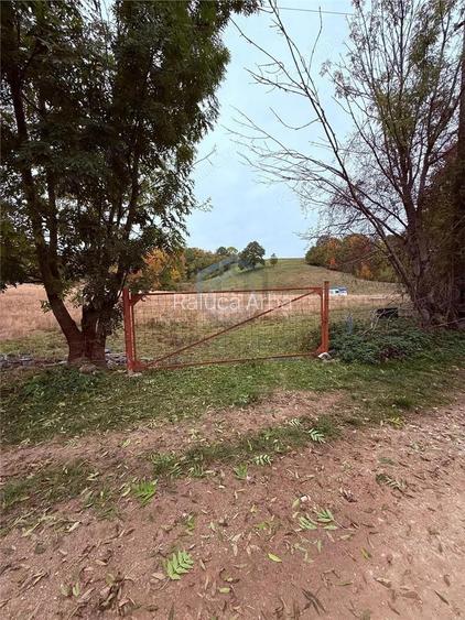 Teren intravilan 17,265 mp in Tomnatic, comuna Vadu Crisului