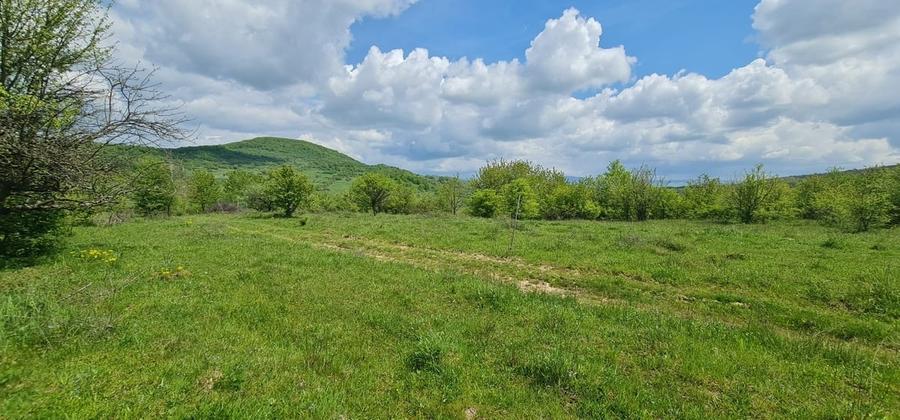 Teren 1500 mp pe str Paltinului, Valea Ghinzii , extravilan Bistrita - 3