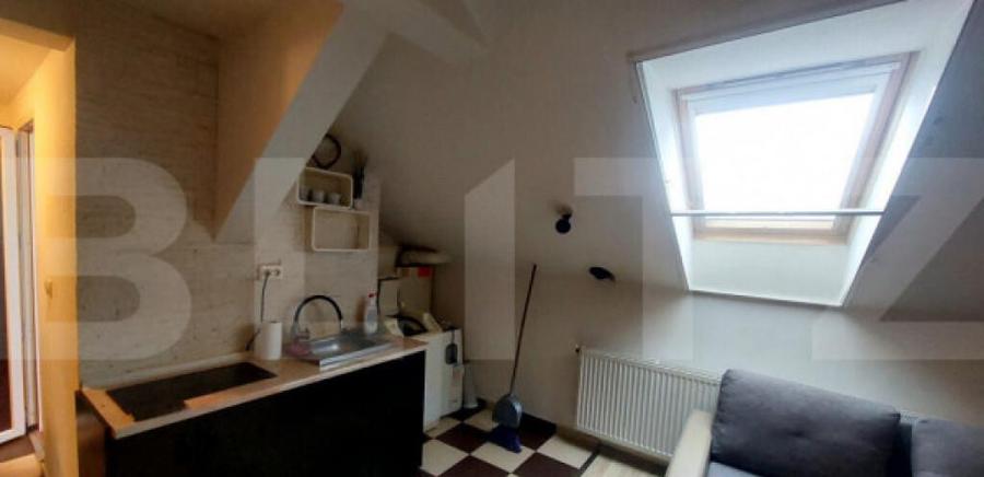 Garsoniera mansardata, zona Iosefin - 2