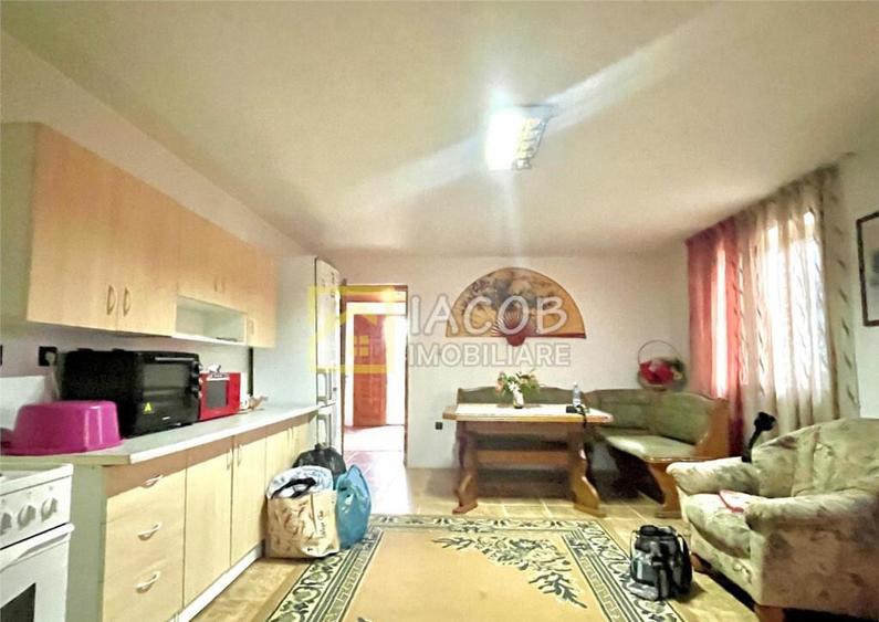 Casa P M, 5 camere,com. Oniscani, jud. Bacau - 10