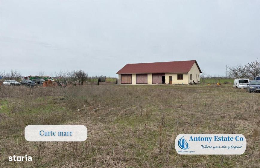 Hala de inchiriat, In Cauaceu - 2