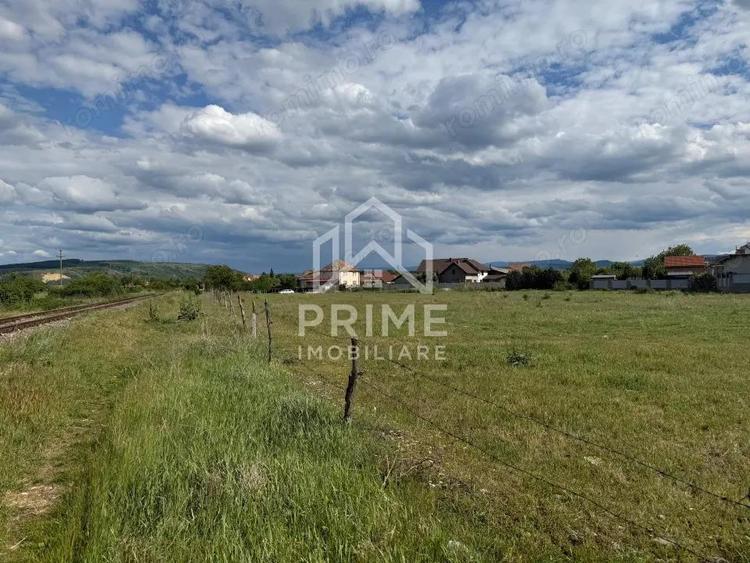 Teren intravilan de vanzare 5.500 mp, Sebe? - 3