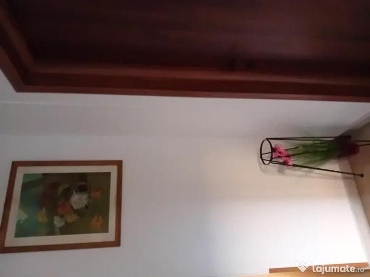 Apartament central 2 camere - 1