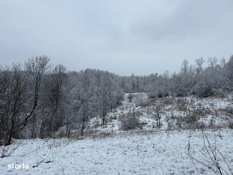 Provi?a de Jos - teren 3824mp - 18 Euro/mp Neg. - 9