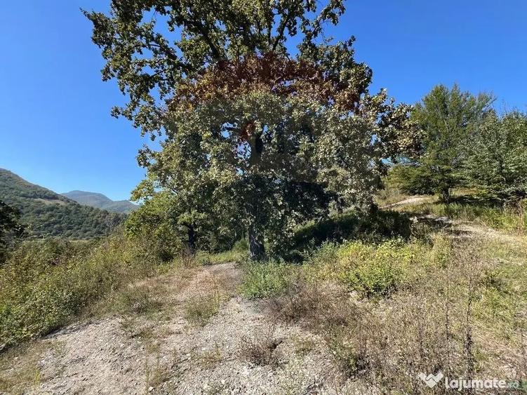 Teren intravilan Buru | ideal agrement, activita?i outdoor - 4