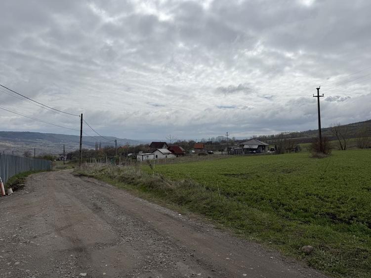 Vand teren Valea Chintaului Mun Cluj Napoca - 3