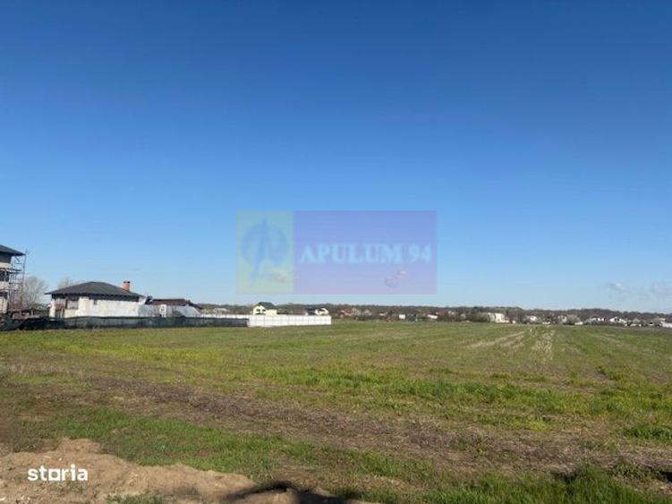 Teren Soseaua Clinceni- Ordoreanu stradal. - 1