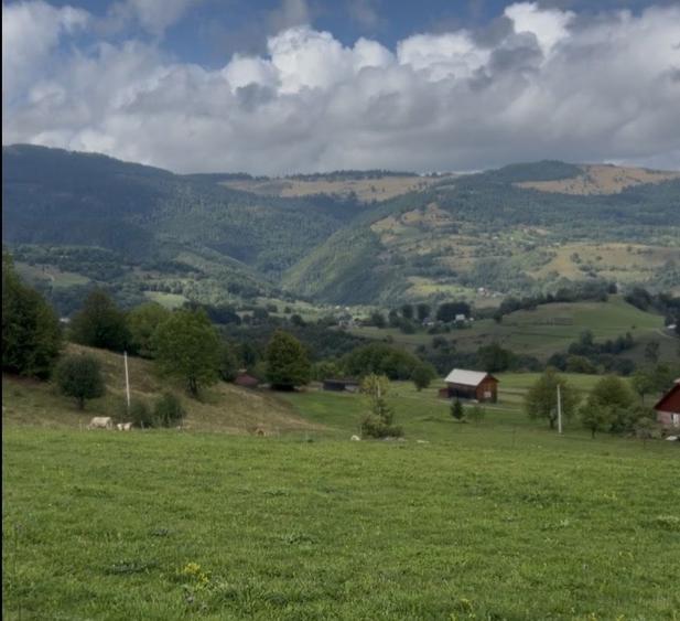 Parcele de 1.000 mp cu priveliste Vladeasa Rogojel, jud. Cluj - 3