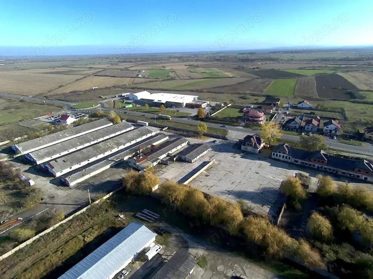 Platforma betonata de inchiriat pana la 6000 mp | Remetea Mare, langa autostrada A1 - 4