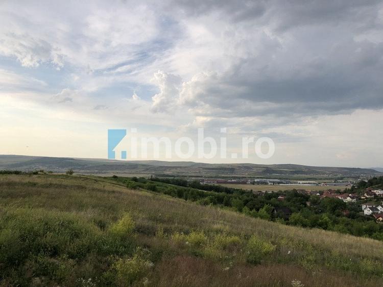 Teren Intravilan Autorizat pentru constructii, Dezmir - 3